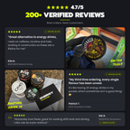 BERSERKER - Valhalla Vanilla: reviews